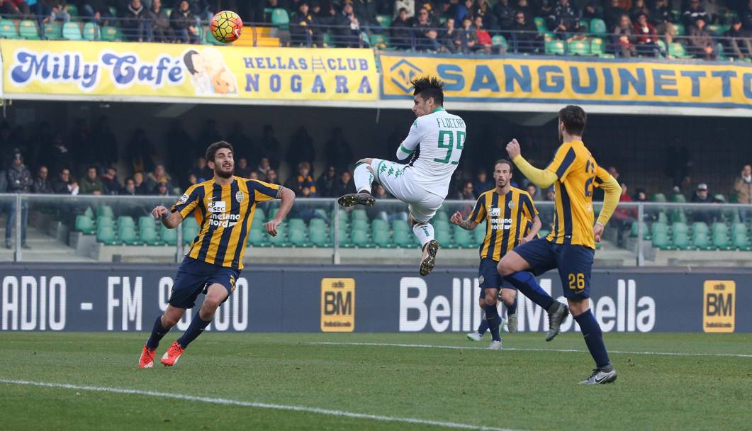 Meraviglioso colpo di testa di Floccari: Verona-Sassuolo 0-1. Ansa